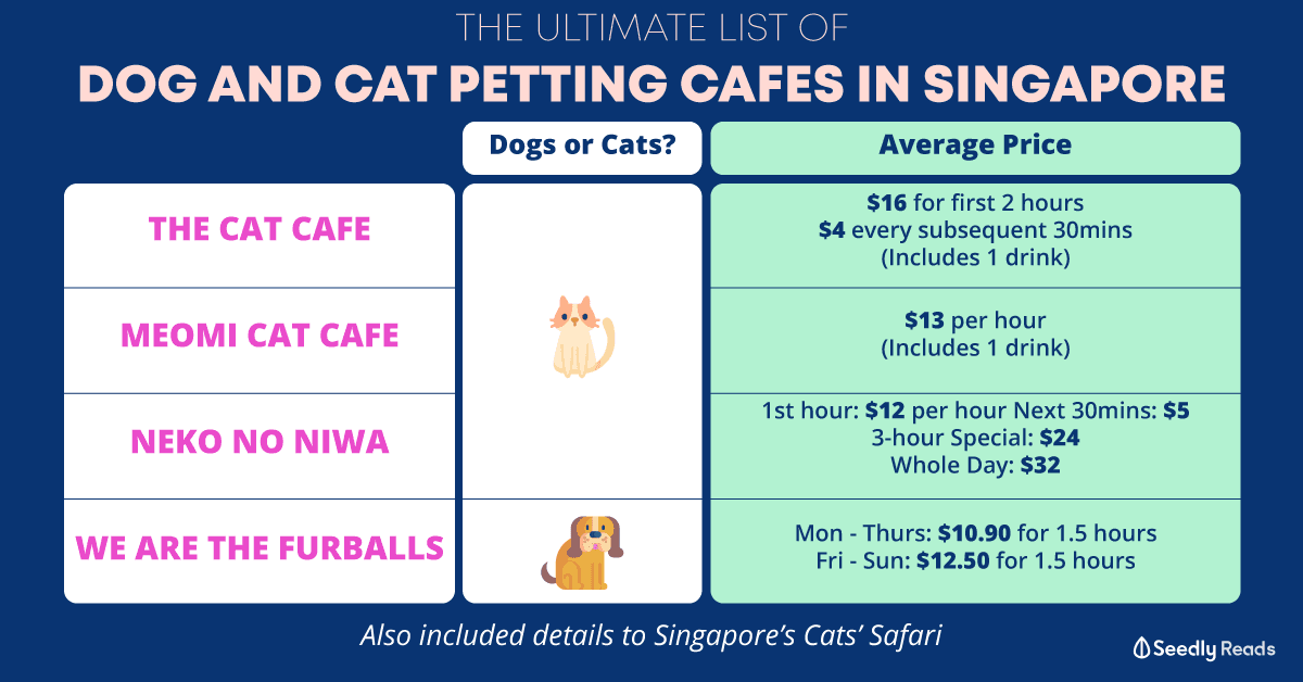 Pet petting cafes in Singapore