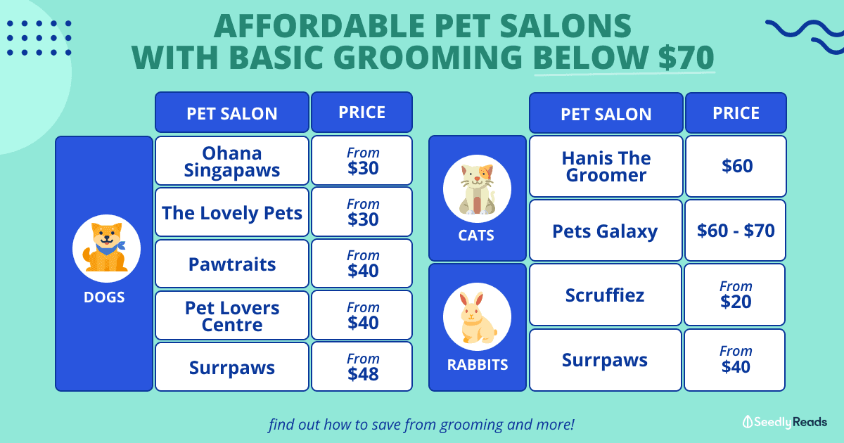 Affordable Pet Grooming Services That Cost Less Than $70